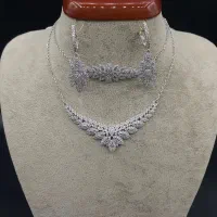 سرویس و نیمست نقره
