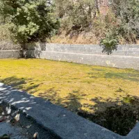 باغ روستای ازغد طرقبه|فروش زمین و ملک کلنگی|مشهد, آزادشهر|دیوار