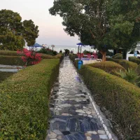 فروش-استثنایی-مجتمع-بر-خیابان-مولوی