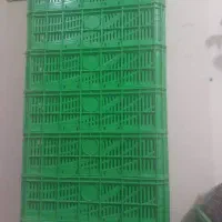 سبد مرغ و سبزی