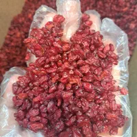 زرشک تازه ناب بیرجند