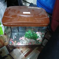 آکواریوم ماهیران