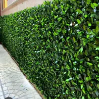 پخش چمن مصنوعی و گرین ووال با کیفیت به قیمت عمده