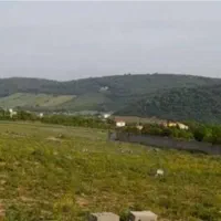 زمین