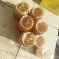 عسل  کنار|عمده‌فروشی|برازجان, |دیوار