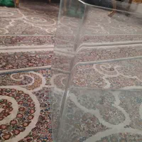 آکواریوم|ماهی|مشهد, مشکینی (شهرک غرب)|دیوار