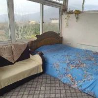 سوییت جنگلی