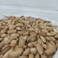 گردو و بادام|خوردنی و آشامیدنی|خور (اصفهان), |دیوار