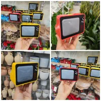 تلویزیون مینی دکوری گلدان شیشه گیره پتوس دیفن کوزه