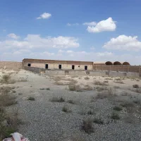 ۴۰۰۰متر پروش شتر مرغ و دام ورامین|اجارهٔ دفتر صنعتی، کشاورزی، تجاری|تهران, سلسبیل شمالی|دیوار