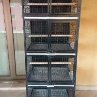 قفس کبوتر ـ ۷۵۰۰/۰۰۰ تومان.