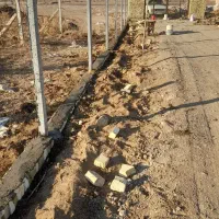 اجرای فنس کشی|خدمات باغبانی و درختکاری|اسفرورین, |دیوار