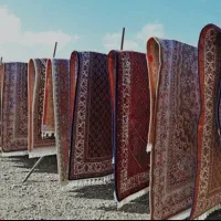 قالیشویی برتر