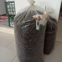 چای چوب یا چای قهوه خانه ای|خوردنی و آشامیدنی|همدان, |دیوار