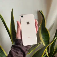 iPhone 8 Gold 64|موبایل|بندر انزلی, گلسرخ|دیوار