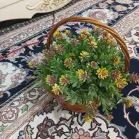 گل،|گل مصنوعی|شیراز, شهرک فرزانگان|دیوار