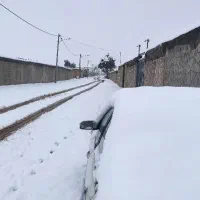 نیازمند شریک یا سرمایه گذار