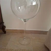 تنگ پایه دار