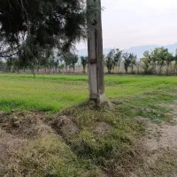 فروش-زمین-کشاورزی-چسبیده-به-بافت