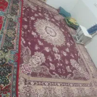فرش اتاق کارگری