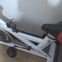 دوچرخه ثابت