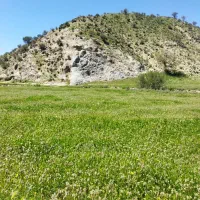 فروش زمین شرکتی