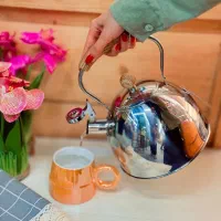 کتری سوتی استیل وارداتی