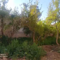 نیازمندنیروی نظافت خانوم