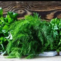 سبزی قورمه معطر وخوشمزه|خوردنی و آشامیدنی|کرج, پیشاهنگی|دیوار