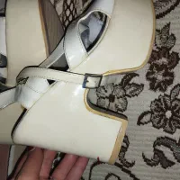 کفش مجلسی|کیف، کفش، کمربند|قم, شهر قائم|دیوار