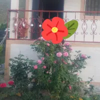 ویلا کوهستانی|فروش خانه و ویلا|بلده, |دیوار