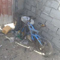 دوچرخه مدل المپیا|دوچرخه، اسکیت، اسکوتر|زهک, |دیوار