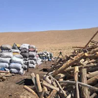 کارگر اتباع جهت تولید ذغال.اسیاب نایلون و چوب بری