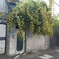 خانه ویلایی دربست