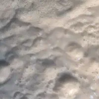 کشک دیگ چدنی گوسفندی