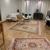 ۵۰ متر/اسانسوردار/سالن پرده خور