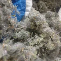 فروش اسطوخودوس و کاکوتی دمنوش گیاهی|آرایشی، بهداشتی، درمانی|پردیس, فاز ۱۱|دیوار