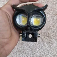 چراغ جغدی زرد و سفید