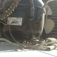 یخچال ایستاده سه درب و یخچال بستنی|فروشگاه و مغازه|محلات, |دیوار