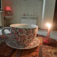 گلدان فنجان و نلبکی|کلکسیون اشیاء عتیقه|تهران, صادقیه|دیوار