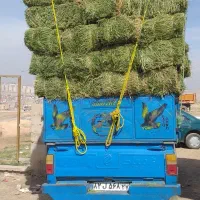 یونجه|خدمات باغبانی و درختکاری|قیدار, |دیوار