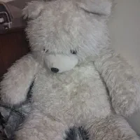 عروسک خرس