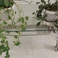 میز جلو مبلی شیشه ای دو طبقه به همراه ست سه تایی