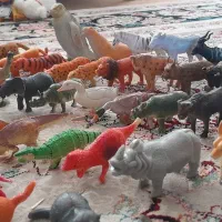 اسباب بازی وعروسک وسایل بازی|اسباببازی بچه|سامان, |دیوار