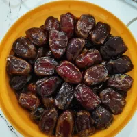 خرما بوشهر|خوردنی و آشامیدنی|سبزوار, ولیعصر (نجار آباد)|دیوار