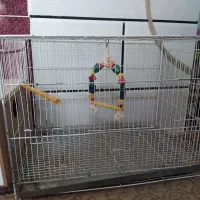 قفس پرنده