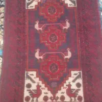 قالی دست بافت|فرش|تربت جام, معدآباد|دیوار