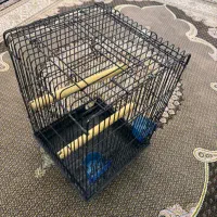 قفس کاسکو  و انواع طوطی