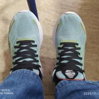 کتانی ساکونی اورجینال|کیف، کفش، کمربند|رشت, دباغیان|دیوار