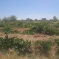 یک قطعه باغچه|فروش دفتر صنعتی، کشاورزی، تجاری|تهران, امیرآباد|دیوار